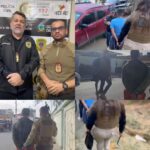 NO BREJO: Polícia Civil prende três investigados por tráfico de drogas e comércio de armas de fogo