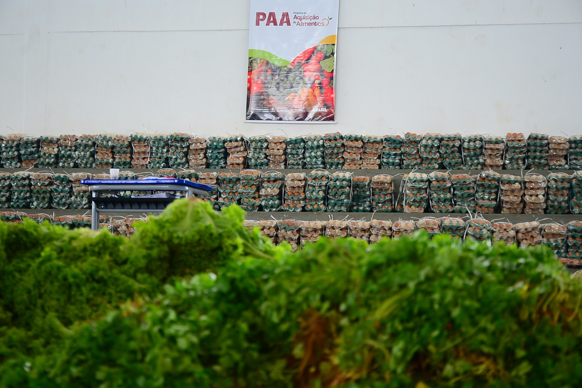 Governo da Paraíba entrega 53 toneladas de alimentos do PAA-CDS nas cidades de Pombal e Prata
