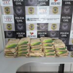 OPERAÇÃO ESPIGA: Polícia Civil prende comerciante por receptação e recupera parte de carga furtada avaliada em R$ 28 mil