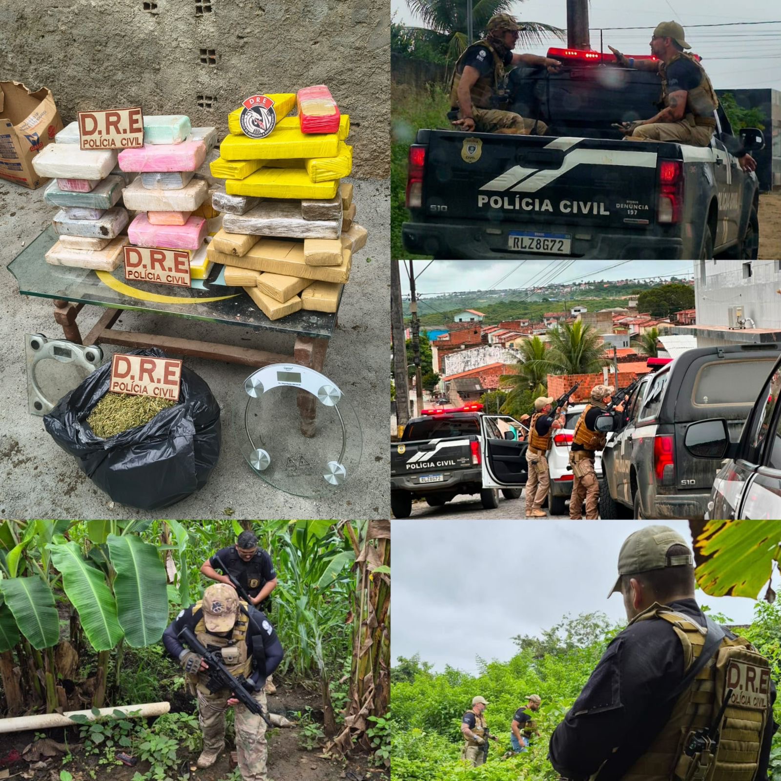 OPERAÇÃO PRE PHASIS: Polícia Civil apreende drogas, dinheiro e veículo de luxo durante ação em Campina Grande