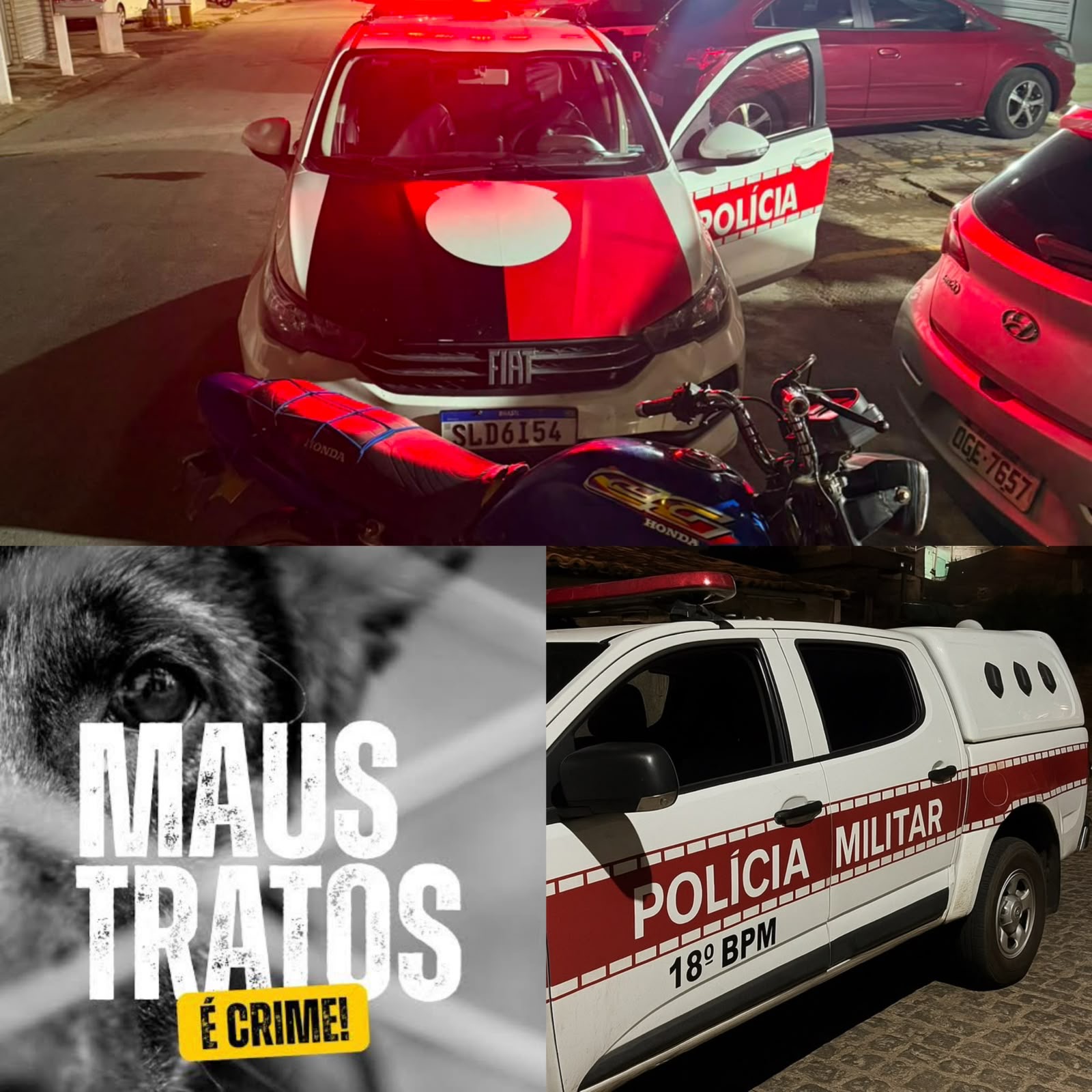 PLANTÃO POLICIAL | 18º BPM REGISTRA APREENSÃO DE VEÍCULO ADULTERADO, PRISÃO POR MAUS-TRATOS A ANIMAL E DESCUMPRIMENTO DE MEDIDA PROTETIVA