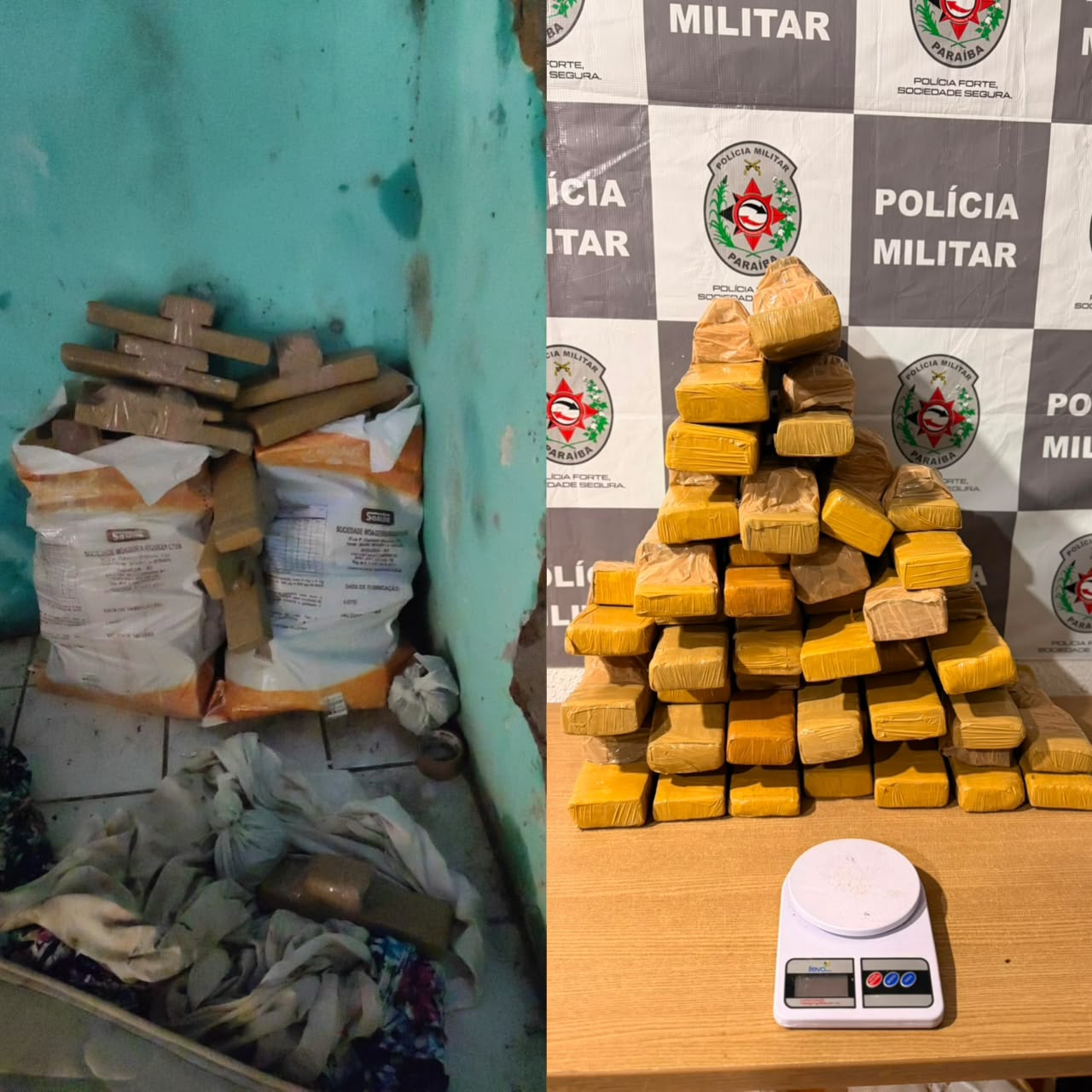 MAIS UMA GRANDE APREENSÃO DE DROGAS PELA POLÍCIA MILITAR DA PARAÍBA