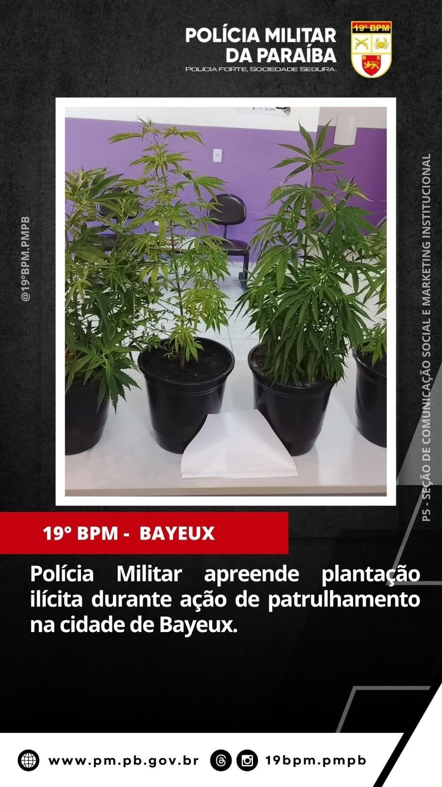 Nesta quinta-feira (17), a Polícia Militar, por meio do 19º BPM, apreendeu plantas análogas à maconha durante patrulhamento realizado no bairro do Sesi, na cidade de Bayeux.