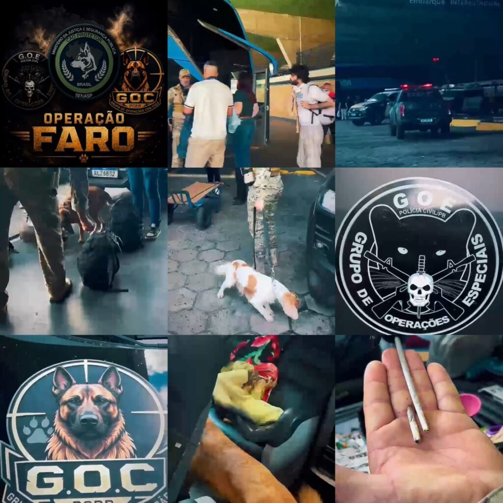 OPERAÇÃO FARO: Polícia Civil realiza fiscalização na Rodoviária de João Pessoa com apoio de cães farejadores