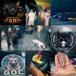 OPERAÇÃO FARO: Polícia Civil realiza fiscalização na Rodoviária de João Pessoa com apoio de cães farejadores